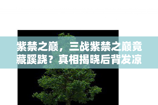 紫禁之巅，三战紫禁之巅竟藏蹊跷？真相揭晓后背发凉！