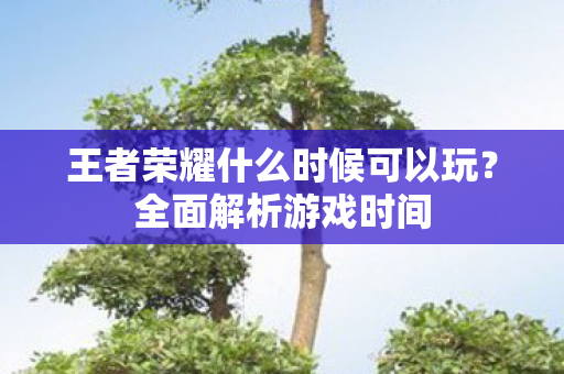 王者荣耀什么时候可以玩图片