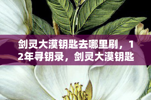 剑灵大漠钥匙去哪里刷,12年寻钥录,剑灵大漠钥匙之谜,泪目终章待解 剑灵大漠钥匙去哪里刷,12年寻钥录,剑灵大漠钥匙之谜,泪目终章待解