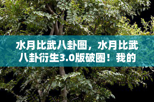 水月比武八卦图,水月比武八卦衍生3.0版破圈!我的钱包竟被游戏周边活埋了?! 水月比武八卦图,水月比武八卦衍生3.0版破圈!我的钱包竟被游戏周边活埋了?!