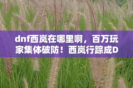 dnf西岚在哪里啊，百万玩家集体破防！西岚行踪成DNF最大未解谜团