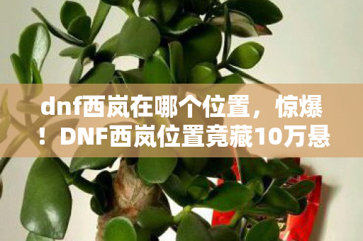 dnf西岚在哪个位置,惊爆!DNF西岚位置竟藏10万悬赏隐情,真相让人吓一跳! dnf西岚在哪个位置,惊爆!DNF西岚位置竟藏10万悬赏隐情,真相让人吓一跳!
