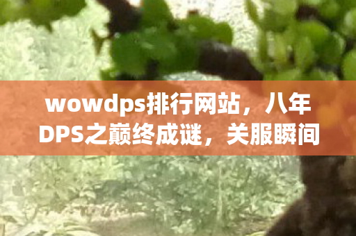 wowdps排行网站，八年DPS之巅终成谜，关服瞬间泪目，谁与我共战至终章？