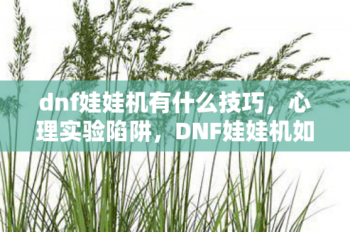 dnf娃娃机有什么技巧,心理实验陷阱,DNF娃娃机如何让我沉迷,细思极恐的自我囚禁 dnf娃娃机有什么技巧,心理实验陷阱,DNF娃娃机如何让我沉迷,细思极恐的自我囚禁