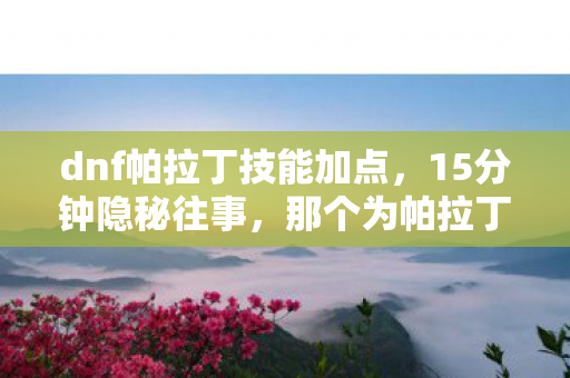 dnf帕拉丁技能加点,15分钟隐秘往事,那个为帕拉丁哽咽的通宵夜 dnf帕拉丁技能加点,15分钟隐秘往事,那个为帕拉丁哽咽的通宵夜