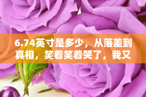 6.74英寸是多少,从落差到真相,笑着笑着哭了,我又偷偷上线了 6.74英寸是多少,从落差到真相,笑着笑着哭了,我又偷偷上线了