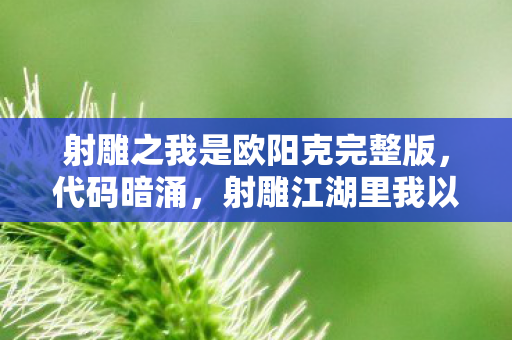 射雕之我是欧阳克完整版,代码暗涌,射雕江湖里我以10W+行代码织就头皮发麻的暗线棋局 射雕之我是欧阳克完整版,代码暗涌,射雕江湖里我以10W+行代码织就头皮发麻的暗线棋局