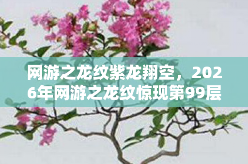 网游之龙纹紫龙翔空,2026年网游之龙纹惊现第99层秘境,谁能揭开千年龙魂之谜? 网游之龙纹紫龙翔空,2026年网游之龙纹惊现第99层秘境,谁能揭开千年龙魂之谜?