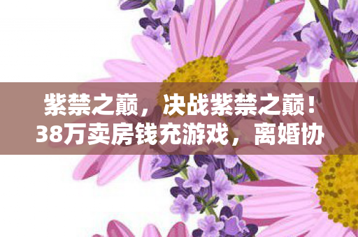 紫禁之巅,决战紫禁之巅!38万卖房钱充游戏,离婚协议撕开惊天隐情! 紫禁之巅,决战紫禁之巅!38万卖房钱充游戏,离婚协议撕开惊天隐情!