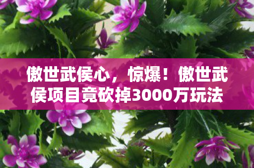 傲世武侯心,惊爆!傲世武侯项目竟砍掉3000万玩法!背后隐情让人吓一跳 傲世武侯心,惊爆!傲世武侯项目竟砍掉3000万玩法!背后隐情让人吓一跳