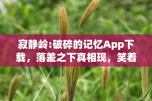 寂静岭:破碎的记忆App下载,落差之下真相现,笑着笑着哭了——寂静岭里寻自我 寂静岭:破碎的记忆App下载,落差之下真相现,笑着笑着哭了——寂静岭里寻自我