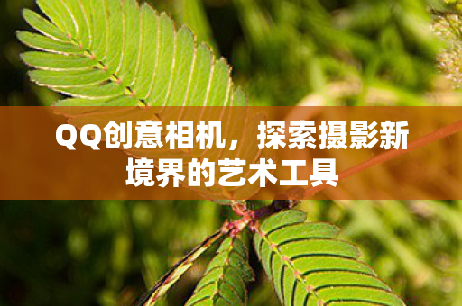 探索摄影新境界的艺术工具图片