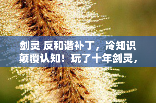 剑灵 反和谐补丁，冷知识颠覆认知！玩了十年剑灵，竟不知反和谐背后目瞪口呆的真相
