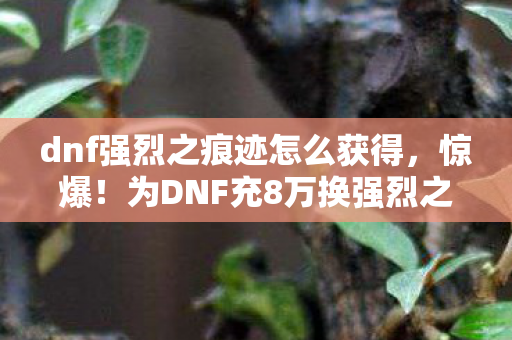 dnf强烈之痕迹怎么获得,惊爆!为DNF充8万换强烈之痕迹,老婆签离婚协议我悔断肠! dnf强烈之痕迹怎么获得,惊爆!为DNF充8万换强烈之痕迹,老婆签离婚协议我悔断肠!