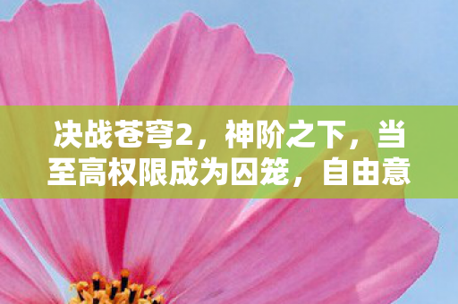 决战苍穹2，神阶之下，当至高权限成为囚笼，自由意志在数据洪流中如何震颤？