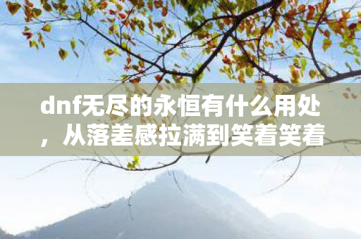 dnf无尽的永恒有什么用处，从落差感拉满到笑着笑着哭了，DNF无尽的永恒真相竟如此扎心