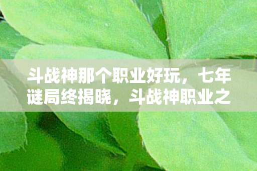 斗战神那个职业好玩，七年谜局终揭晓，斗战神职业之争，谁才是泪目传奇？