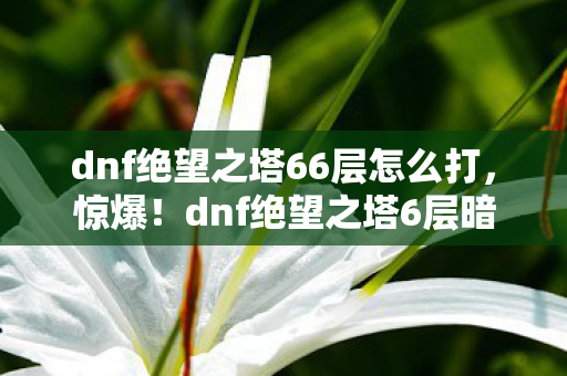 dnf绝望之塔66层怎么打，惊爆！dnf绝望之塔6层暗藏50万隐情，真相让人吓一跳！