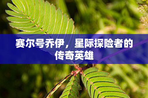 星际探险者的传奇英雄图片