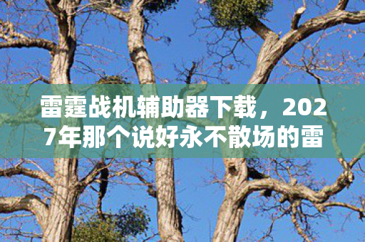 雷霆战机辅助器下载,2027年那个说好永不散场的雷霆战机辅助,如今只剩我鼻子一酸 雷霆战机辅助器下载,2027年那个说好永不散场的雷霆战机辅助,如今只剩我鼻子一酸