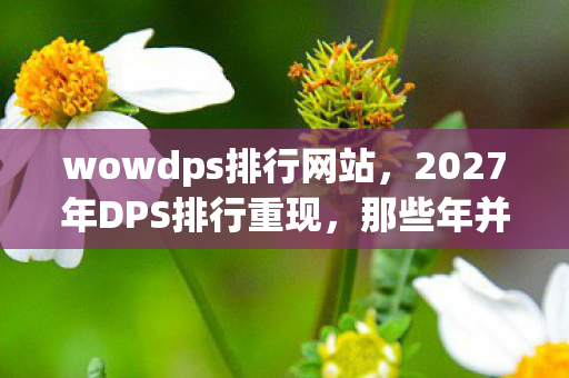 wowdps排行网站,2027年DPS排行重现,那些年并肩的辉煌,如今想起鼻子一酸 wowdps排行网站,2027年DPS排行重现,那些年并肩的辉煌,如今想起鼻子一酸