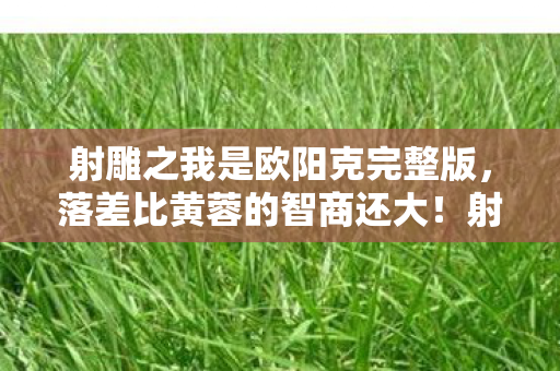 射雕之我是欧阳克完整版,落差比黄蓉的智商还大!射雕之我是欧阳克真相,笑着笑着就哭了 射雕之我是欧阳克完整版,落差比黄蓉的智商还大!射雕之我是欧阳克真相,笑着笑着就哭了
