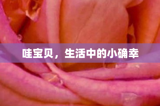 生活中的小确幸图片