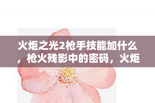 火炬之光2枪手技能加什么,枪火残影中的密码,火炬之光2枪手技能悬案,毛骨悚然真相待解 火炬之光2枪手技能加什么,枪火残影中的密码,火炬之光2枪手技能悬案,毛骨悚然真相待解