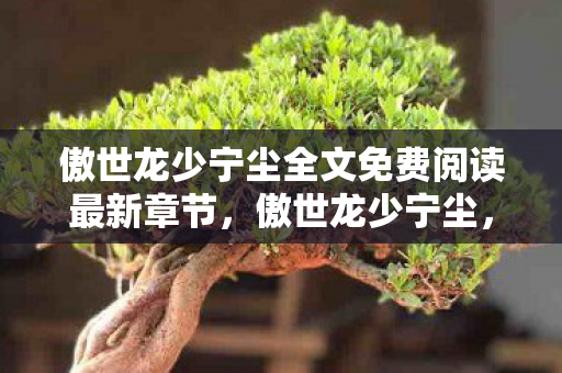 傲世龙少宁尘全文免费阅读最新章节,傲世龙少宁尘,从画面王者到真相乞丐,笑着笑着就破防了 傲世龙少宁尘全文免费阅读最新章节,傲世龙少宁尘,从画面王者到真相乞丐,笑着笑着就破防了