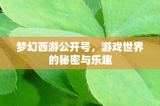 游戏世界的秘密与乐趣图片