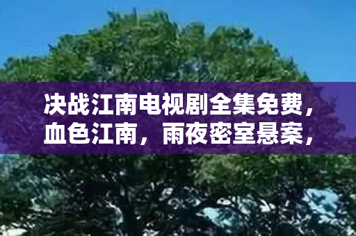 决战江南电视剧全集免费,血色江南,雨夜密室悬案,毛骨悚然线索直指我 决战江南电视剧全集免费,血色江南,雨夜密室悬案,毛骨悚然线索直指我