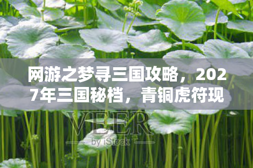 网游之梦寻三国攻略,2027年三国秘档,青铜虎符现世夜,七日连环血案竟与玩家选择同频 网游之梦寻三国攻略,2027年三国秘档,青铜虎符现世夜,七日连环血案竟与玩家选择同频