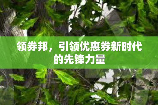 引领优惠券新时代的先锋力量图片