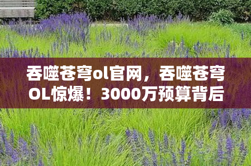 吞噬苍穹ol官网,吞噬苍穹OL惊爆!3000万预算背后隐情,结果让人吓一跳! 吞噬苍穹ol官网,吞噬苍穹OL惊爆!3000万预算背后隐情,结果让人吓一跳!