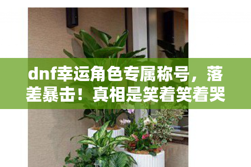 dnf幸运角色专属称号，落差暴击！真相是笑着笑着哭了，DNF幸运角色竟成退坑绊脚石
