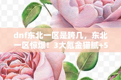 dnf东北一区是跨几，东北一区惊爆！3大氪金猫腻+5个伪创新，这波操作让800W勇士集体上头
