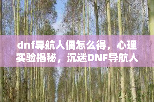 dnf导航人偶怎么得，心理实验揭秘，沉迷DNF导航人偶，细思极恐的自我麻醉之旅