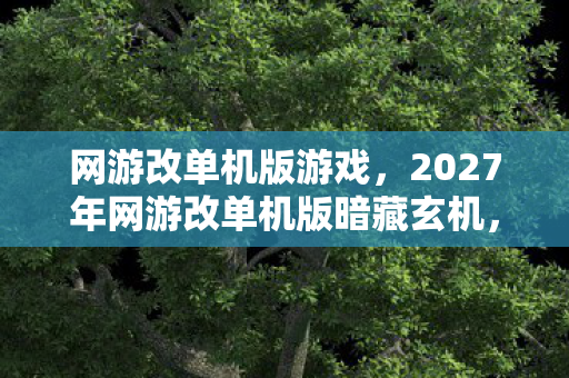 网游改单机版游戏，2027年网游改单机版暗藏玄机，沉默背后是救赎还是深渊？