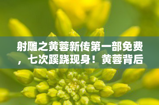 射雕之黄蓉新传第一部免费，七次蹊跷现身！黄蓉背后秘密，读罢令人后背发凉