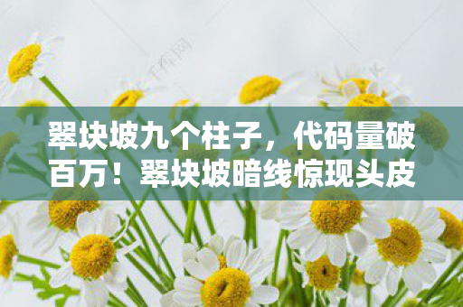 翠块坡九个柱子,代码量破百万!翠块坡暗线惊现头皮发麻级指令漏洞 翠块坡九个柱子,代码量破百万!翠块坡暗线惊现头皮发麻级指令漏洞