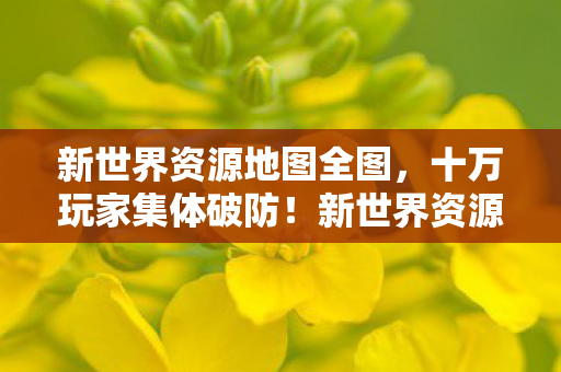 新世界资源地图全图，十万玩家集体破防！新世界资源地图惊现人数黑洞谜团