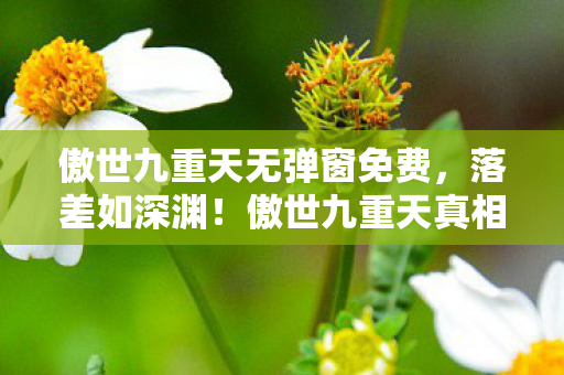 傲世九重天无弹窗免费,落差如深渊!傲世九重天真相揭露,笑着骂,哭着登,谁懂这荒诞? 傲世九重天无弹窗免费,落差如深渊!傲世九重天真相揭露,笑着骂,哭着登,谁懂这荒诞?