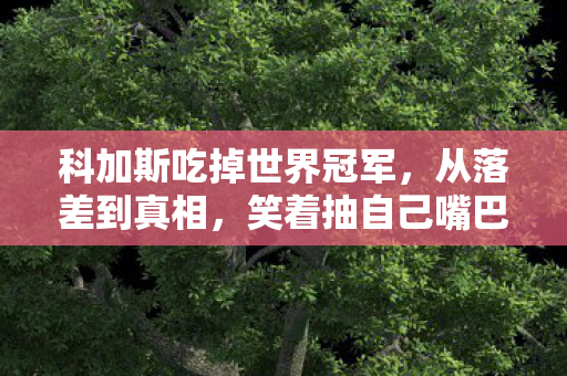 科加斯吃掉世界冠军,从落差到真相,笑着抽自己嘴巴,最后笑着笑着哭了 科加斯吃掉世界冠军,从落差到真相,笑着抽自己嘴巴,最后笑着笑着哭了