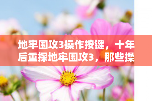 地牢围攻3操作按键，十年后重探地牢围攻3，那些操作竟藏着震撼世界的真相！