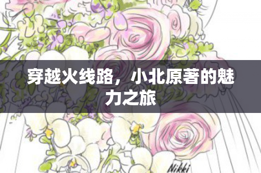 小北原著的魅力之旅图片