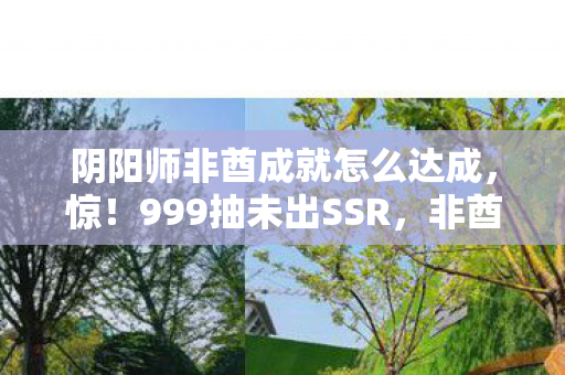 阴阳师非酋成就怎么达成,惊!999抽未出SSR,非酋成就背后竟藏惊天反转? 阴阳师非酋成就怎么达成,惊!999抽未出SSR,非酋成就背后竟藏惊天反转?