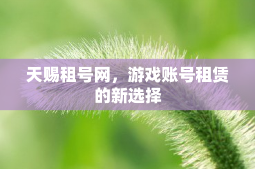 游戏账号租赁的新选择图片