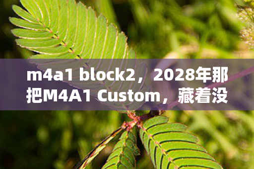 m4a1 block2,2028年那把M4A1 Custom,藏着没说出口的约定,如今想起鼻子一酸 m4a1 block2,2028年那把M4A1 Custom,藏着没说出口的约定,如今想起鼻子一酸