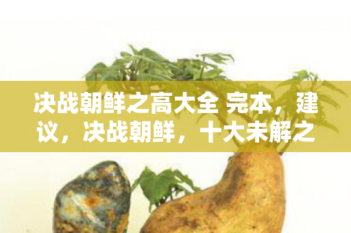 决战朝鲜之高大全 完本,建议,决战朝鲜,十大未解之谜与英雄传奇 决战朝鲜之高大全 完本,建议,决战朝鲜,十大未解之谜与英雄传奇