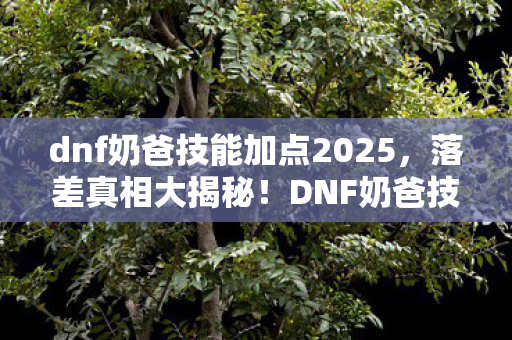 dnf奶爸技能加点2025，落差真相大揭秘！DNF奶爸技能加点，笑着笑着，我竟哭了